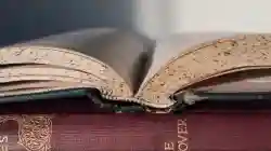 Established Book Bindery and Book Repair