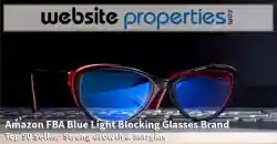 Amazon FBA Blue Light Blocking Glasses Brand with Strong Margins