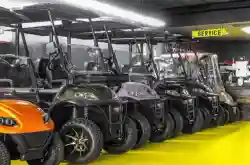 Drive Into Profits — Own a Turn-Key Golf Cart Sale - Business for sale in Sacramento County, CA