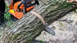Turn Key Tree Service - Business for sale in Mecklenburg County, NC