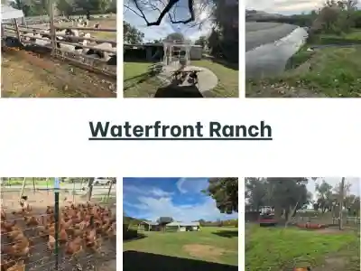 Waterfront No. Cal. Property with Many Features