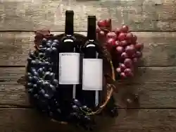 Wine Importer-Wholesaler & Wine Brand Developer - Business for sale in California