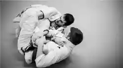 Premier Martial Arts School - Business for sale in Union County, NC