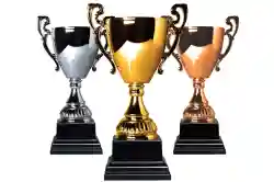 A Winning Trophy & Engraving Business - Business for sale in Texas