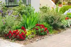 Ecological Landscape & Floral Design Company - Business for sale in Alameda County, CA