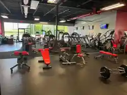 Thriving 16yr Strong Neighborhood GYM & Fitness Center - Business for sale in O'Fallon, MO