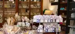 Unique Specialty Retail Franchise For Sale! - Business for sale in Arkansas