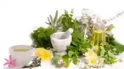 Naturopathic Medicine & Ayurvedic Clinic - Business for sale in California