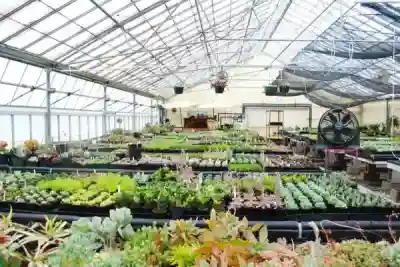Retail Nursery Specializing In Succulents