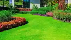 Lawn & Landscaping Company in Upscale Community