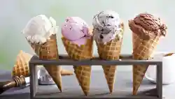 Profitable Ice Cream Shop and Food - Business for sale in Olean, NY