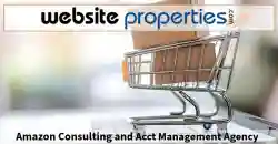 Amazon Consulting and Acct Management Agency - Business for sale in Fort Wayne, IN
