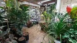 Destination Niche Plant Nursery with 2 Locations - Business for sale in California