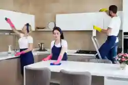 Cleaning Services with Established Clientele