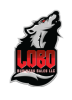 Lobo Business Sales LLC logo