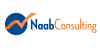 Naab Consulting, Inc. logo